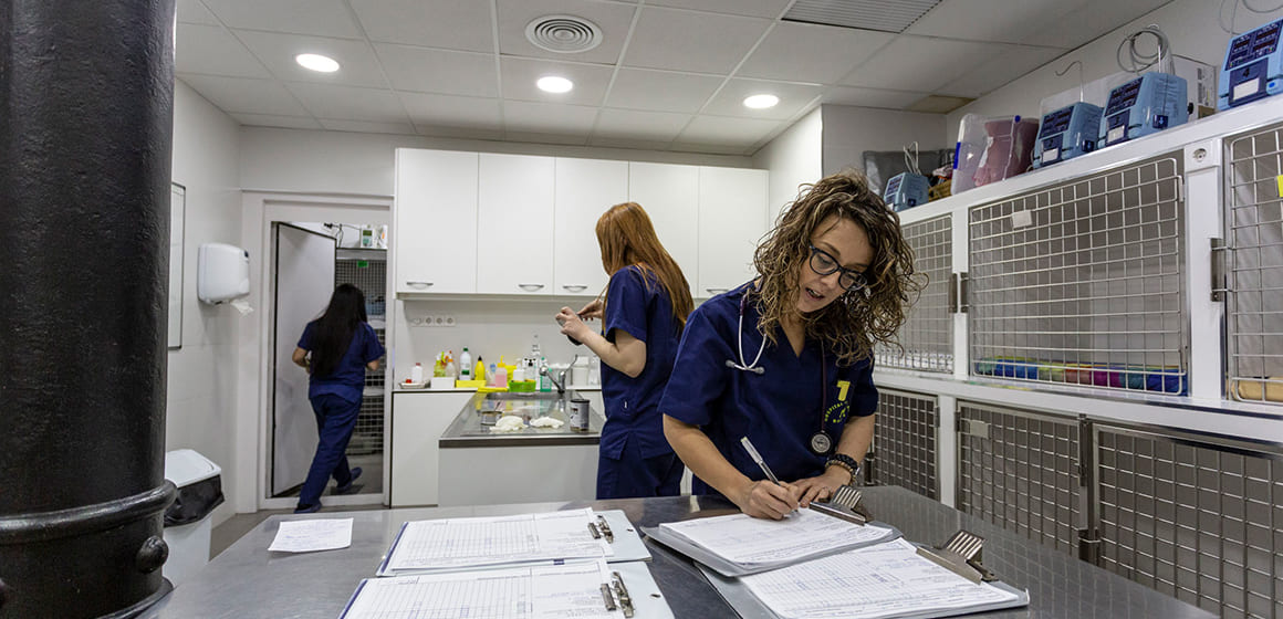 Hospitalització i UCI veterinaria a Barcelona. Hospital Veterinari Balmes