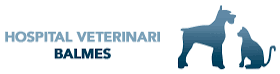 Hospital Veterinari Balmes